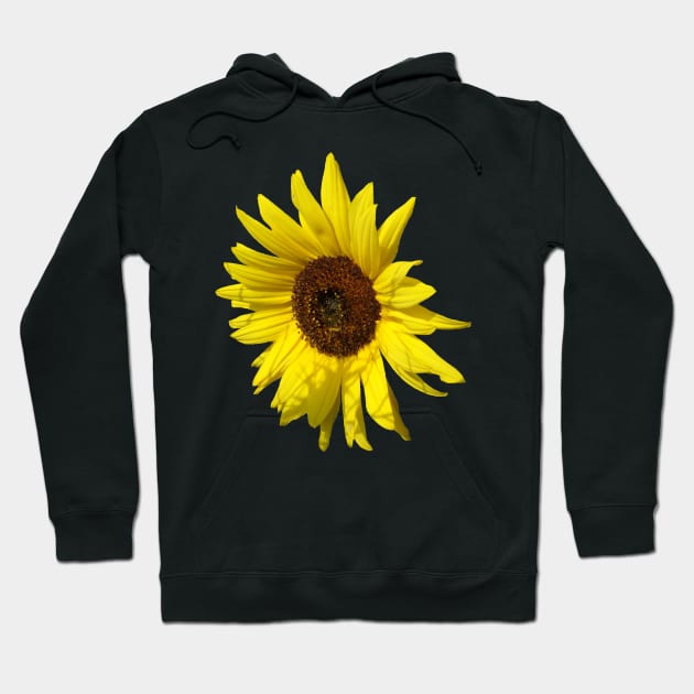 sunflowers, sunflower, blooms, summer, flowers Hoodie by rh_naturestyles